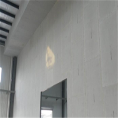 任丘新型建筑材料掺多种工业废渣的ALC|ACC|FPS模块板材轻质隔墙板